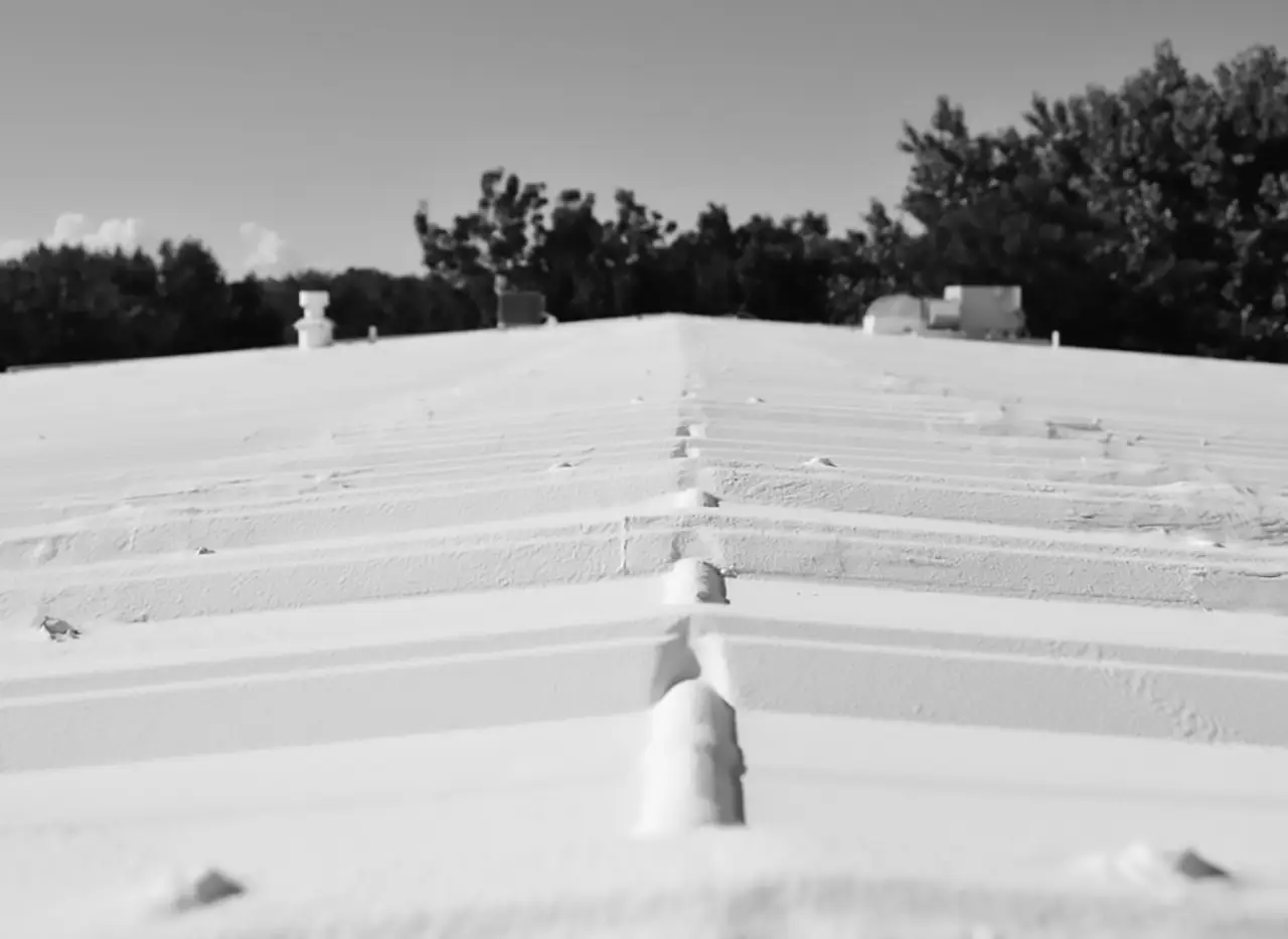 Roof Coating or Sealant TouchRoofing