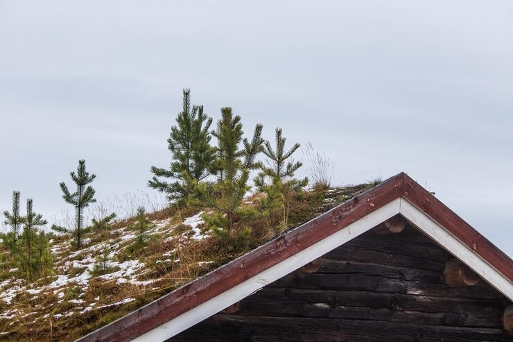 Shakes versus Cedar Shingles